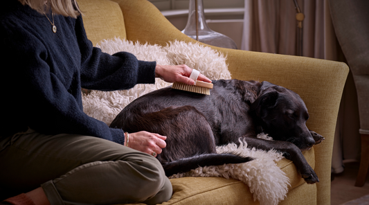 Grooming, the Digby Way: Introducing Our New Dog Brush