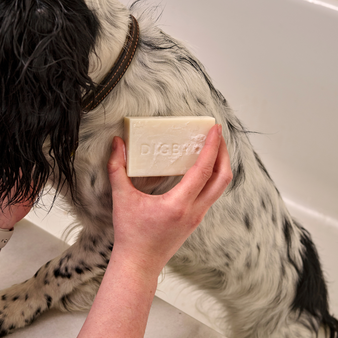 Digby Shampoo Bar