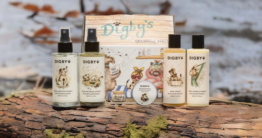 Digby’s New Look: A Fresh Face for a Trusted Favourite