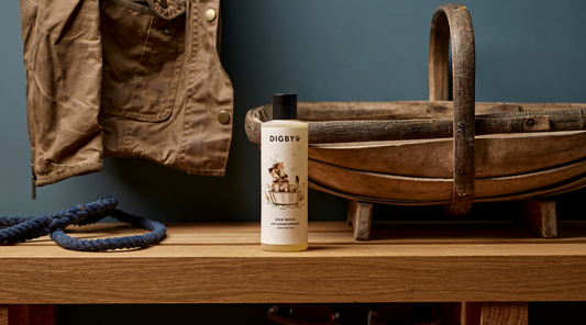 Why your dog deserves a shampoo made just for them